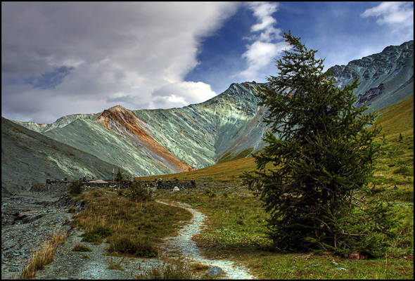 Республика алтай курай фото